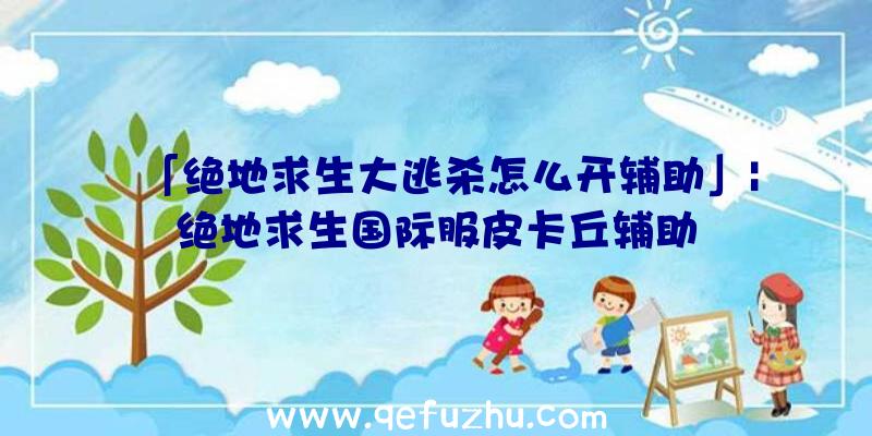 「绝地求生大逃杀怎么开辅助」|绝地求生国际服皮卡丘辅助